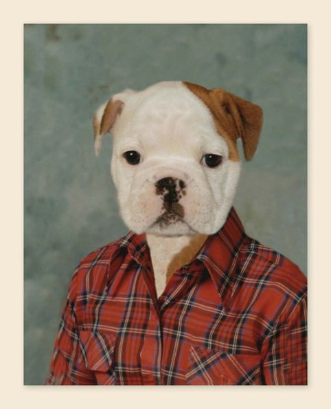 Picture Day Notecards (Gift for Animal Lovers, Funny Stationery, Notecards with Cute Animals)