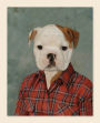 Alternative view 3 of Picture Day Notecards (Gift for Animal Lovers, Funny Stationery, Notecards with Cute Animals)