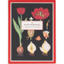 The Art of Instruction Notecard Set: 16 Notecards and Envelopes