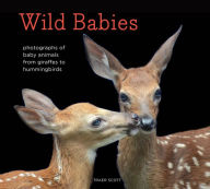 Title: Wild Babies: Photographs of Baby Animals from Giraffes to Hummingbirds, Author: Traer Scott