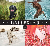 Title: Unleashed, Author: Amanda Jones