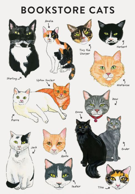 Barnes and Noble Blank sticker Book: Humorous Cat Blank Sticker