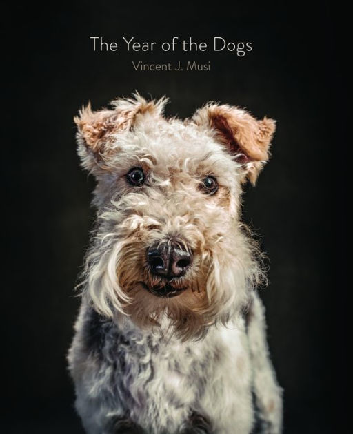 Synopsis — The Year of the Dog