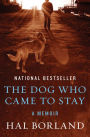 The Dog Who Came to Stay: A Memoir