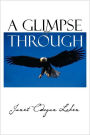 A Glimpse of Through
