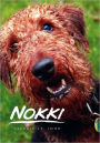 Nokki