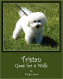 Tristan Goes For A Walk