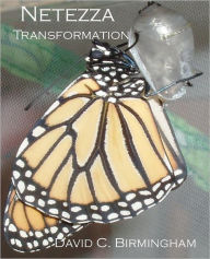 Netezza Transformation: Taming the Dragon Without Alchemy, Sorcery or Strange Potions