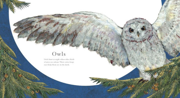 Who Is Awake in the Moonlight?