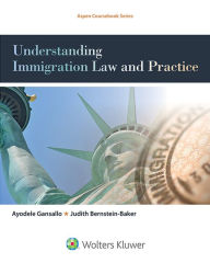 Title: Understanding Immigration Law and Practice, Author: Ayodele Gansallo