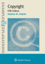 Examples & Explanations for Copyright / Edition 5