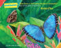 How Does a Caterpillar Become a Butterfly?: And Other Questions About Butterflies