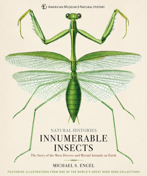 Innumerable Insects: The Story of the Most Diverse and Myriad Animals on Earth