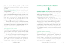 Alternative view 19 of A Little Bit of Runes: An Introduction to Norse Divination