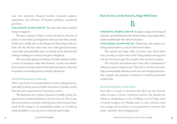A Little Bit of Runes: An Introduction to Norse Divination