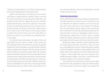 Alternative view 12 of A Little Bit of Fairies: An Introduction to Fairy Magic