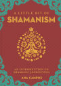 A Little Bit of Shamanism: An Introduction to Shamanic Journeying