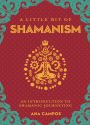 A Little Bit of Shamanism: An Introduction to Shamanic Journeying