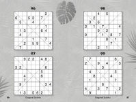 Alternative view 10 of Wild Sudoku Variants