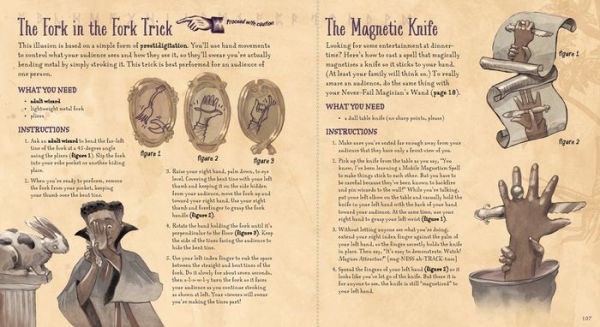 The Book of Wizard Magic: In Which the Apprentice Finds Marvelous Magic Tricks, Mystifying Illusions & Astonishing Tales