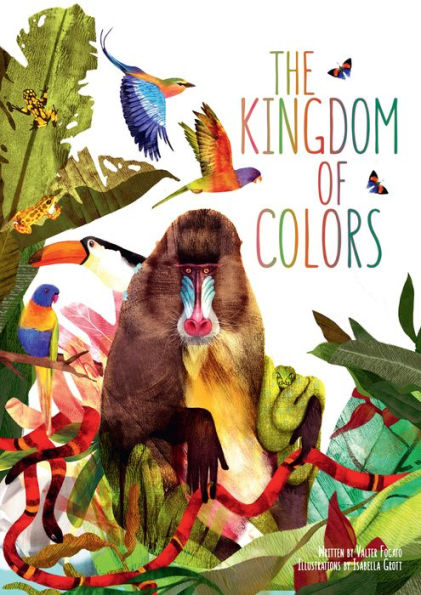 The Kingdom of Colors