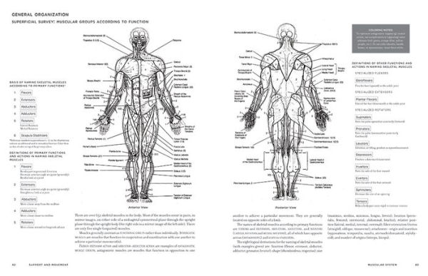 McMurtrie's Human Anatomy Coloring Book