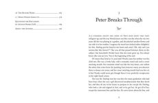 Alternative view 2 of Peter Pan