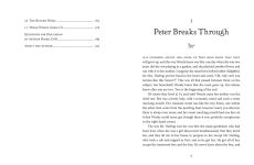Alternative view 9 of Peter Pan