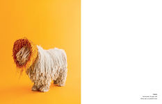 Alternative view 9 of Cone of Shame