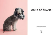 Alternative view 12 of Cone of Shame