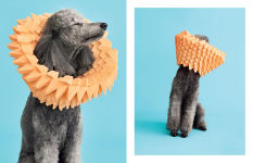 Alternative view 13 of Cone of Shame