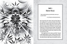Alternative view 9 of Metaphysical AF: Harness Your Dreams in the Ethereal Realm