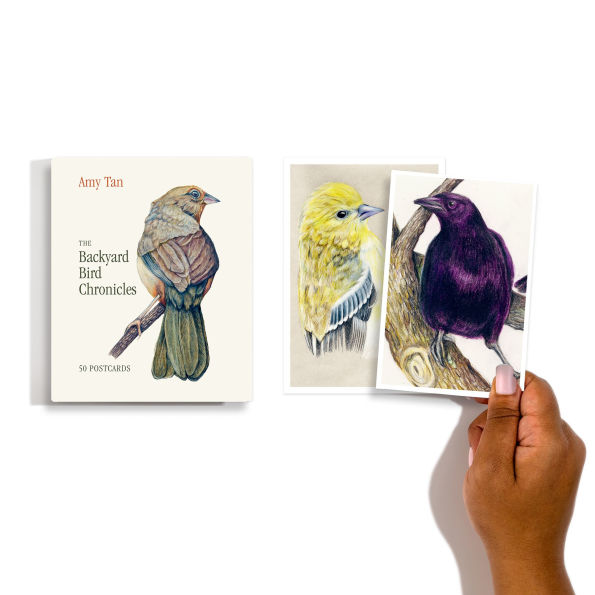 The Backyard Bird Chronicles: 50 Postcards