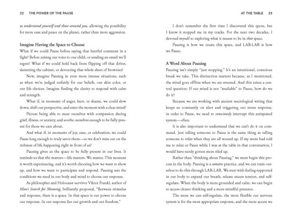 The Power of the Pause: 90 Seconds to Calm, Reset, and Reconnect