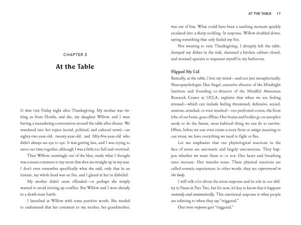 The Power of the Pause: 90 Seconds to Calm, Reset, and Reconnect