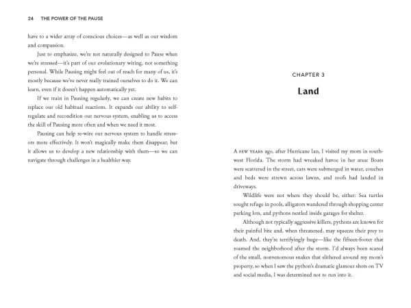 The Power of the Pause: 90 Seconds to Calm, Reset, and Reconnect