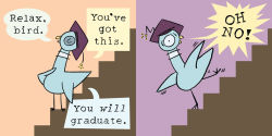 Alternative view 3 of Will the Pigeon Graduate? (B&N Exclusive Edition)