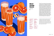 Alternative view 5 of The Nonalcoholic Bar: Classic and Creative Cocktails for Everyone