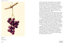 Alternative view 3 of An Illustrated Catalog of American Fruits & Nuts