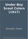 Under Boy Scout Colors (1917)