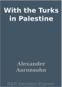 With the Turks in Palestine