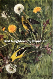 Title: Bird Neighbors, Author: Neltje Blanchan