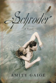 Title: Schroder: A Novel, Author: Amity Gaige