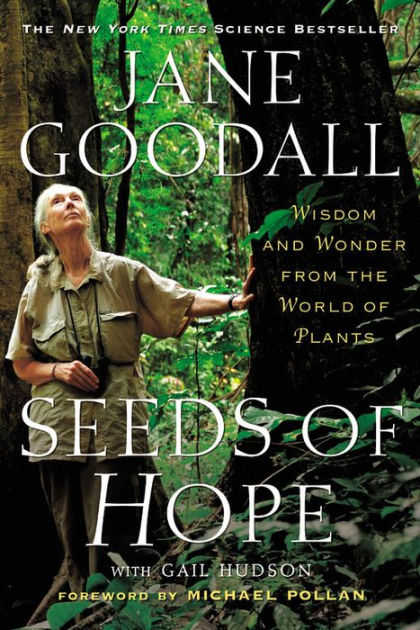 The Tree that Survived 9/11 - Jane Goodall's Good for All News