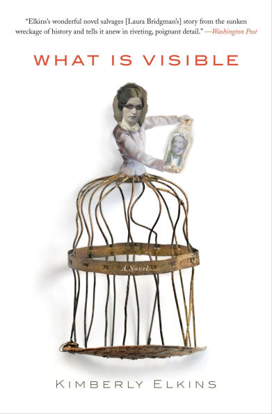 What Is Visible: A Novel