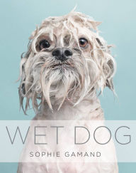 Title: Wet Dog, Author: Sophie Gamand