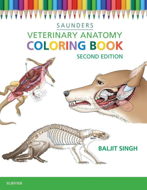 Veterinary Anatomy Coloring Book by Saunders, Paperback | Barnes & Noble®
