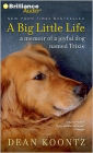 A Big Little Life: A Memoir of a Joyful Dog Named Trixie