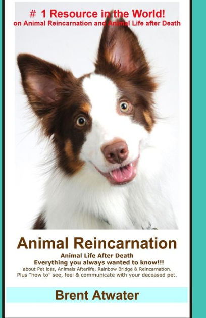 Animal Reincarnation: Everything You Always Wanted to Know! about Pet Reincarnation plus Animal Reincarnation: Everything You Always Wanted to Know! about Pet Reincarnation plus