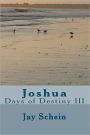 Joshua: Days of Destiny III